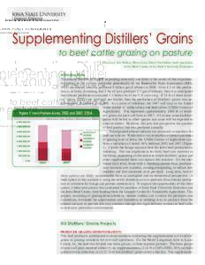 Supplementing Distillers’ Grains  to beef cattle grazing on pasture Dan Loy, Joe Sellers, Byron Leu, Daryl Strohbehn, beef specialists Iowa Beef Center, Iowa State University Extension