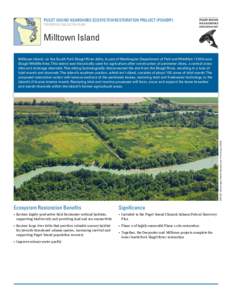 PUGET SOUND NEARSHORE ECOSYSTEM RESTORATION PROJECT (PSNERP) TENTATIVELY SELECTED PLAN Milltown Island  IMAGE: Washington State Department of Ecology (2006)