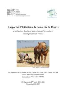 Rapport de l’Initiation à la Démarche de Projet : L’utilisation du cheval de trait dans l’agriculture contemporaine en France Source : Hippotese, le cheval de Travail, 2007