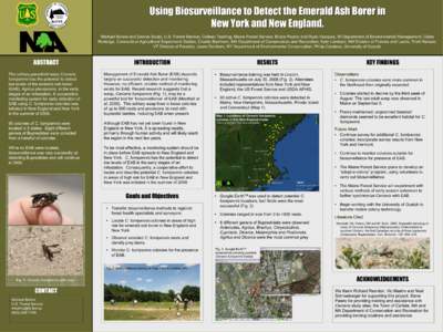 Using Biosurveillance to Detect the Emerald Ash Borer in New York and New England. Michael Bohne and Dennis Souto, U.S. Forest Service; Colleen Teerling, Maine Forest Service; Bruce Payton and Ryan Vasquez, RI Department