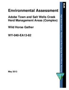 Environmental Assessment  Wild Horse Gather WY-040-EA13-82  May 2013