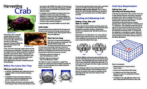 Photo: Rick Harbo  are closed to all shellfish harvesting. These areas are described on-line at www.pac.dfo-mpo.gc.ca/recfish or contact your local Fisheries and Oceans Canada office for details.