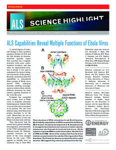 BIOSCIENCE  PUBLISHED BY THE ADVANCED LIGHT SOURCE COMMUNICATIONS GROUP ALS Capabilities Reveal Multiple Functions of Ebola Virus A central dogma of molecular biology is that a protein’s