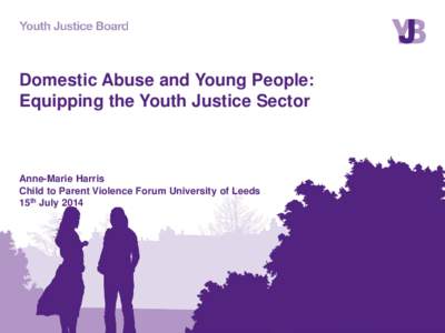 Abuse / Violence / Youth Justice Board / Domestic violence / Youth Offending Team / Behavior / Violence against women / Ethics / Family therapy