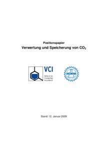 Microsoft Word - VCI-DECHEMA-Positionspapier CO2-Nutzung -  endg  _12 01 2009_.doc