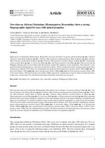 New data on African Cheloninae (Hymenoptera, Braconidae) show a strong biogeographic signal for taxa with spined propodea