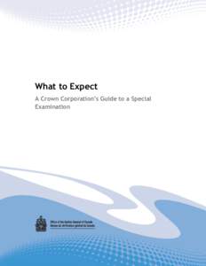 What to Expect A Crown Corporation’s Guide to a Special Examination Ce document est également disponible en français. Contents may not be reproduced for commercial purposes, but any other reproduction, with
