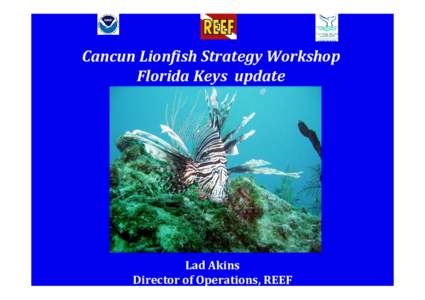 Cancun Lionfish Strategy Workshop Florida Keys  update Image credit S. Sy  Lad Akins  