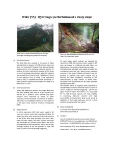 Synthesis report of the research project TRAMM - Triggering of Rapid Mass Movements in Steep Terrain