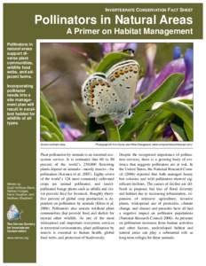 INVERTEBRATE CONSERVATION FACT SHEET  Pollinators in Natural Areas A Primer on Habitat Management Pollinators in natural areas