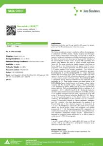 Rev-erbA-β (RVR)His nuclear receptor subfamily 1 human, recombinant, baculovirus Cat. No.