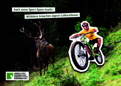 Auch wenn Sport Spass macht:  räume. Wildtiere brauchen eigene Lebens  Was können Sportler tun?