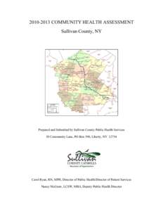 [removed]COMMUNITY HEALTH ASSESSMENT Sullivan County, NY     