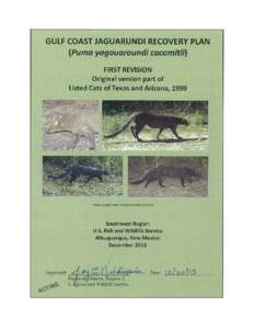 DRAFT Gulf Coast Jaguarundi Recovery Plan_12[removed]pdf