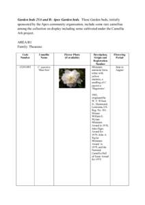Anemone / Biology / Peony / C. reticulata / C. japonica / Flowers / Botany / Camellia