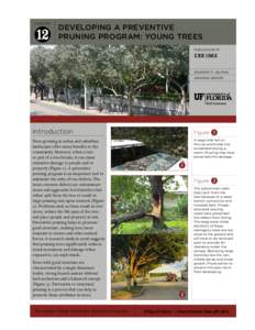 CHAPTER  Developing a Preventive Pruning Program: Young Trees PUBLICATION Nº