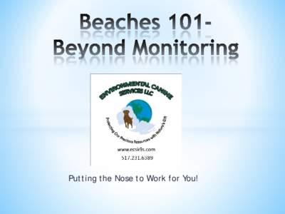 Beaches 101- Beyond Monitoring