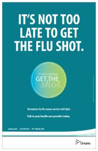 IT’S NOT TOO LATE TO GET THE FLU SHOT. GET THE  shot.