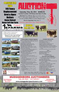 Production Sale 140 Fancy Replacement Bred & Open Heifers