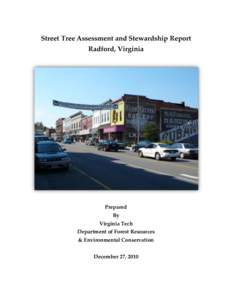 Street Tree Assessment and Stewardship Report Radford, Virginia Prepared By Virginia Tech