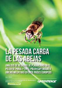 La pesada carga de las abejas  1/21 La pesada carga de las abejas