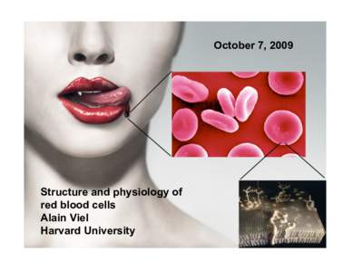 October 7, 2009  Structure and physiology of red blood cells Alain Viel Harvard University
