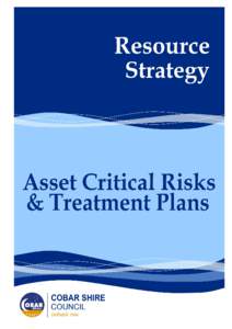 Asset Critical Risks & Treatment Plans Asset at Risk What can Happen  Water Quality