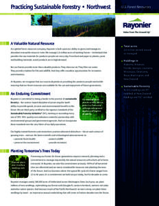 Practicing Sustainable Forestry • Northwest  A Valuable Natural Resource As a global forest resources company, Rayonier is built upon our ability to grow and manage an abundant renewable resource: trees. We manage 2.6 