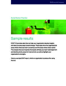 Social Sector Practice  Sample results OCAT 2.0 provides data that can help your organization develop insights and take concrete steps toward change. These data show the organizational areas where there was team consensu