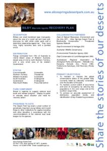 www.alicespringsdesertpark.com.au  BILBY Macrotis lagotis RECOVERY PLAN DESCRIPTION  COLLABORATIVE PARTNERS