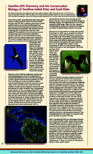 Satellite-GPS Telemetry and the Conservation Biology of Swallow-tailed Kites and Snail Kites Ken Meyer co-founded Avian Research and Conservation Institute (ARCI; www.arcinst.org) in 1997; he now serves as Executive Dire