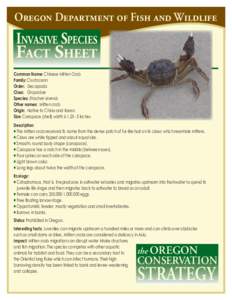 Oregon Department of Fish and Wildlife  Invasive Species Fact Sheet Common Name: Chinese Mitten Crab