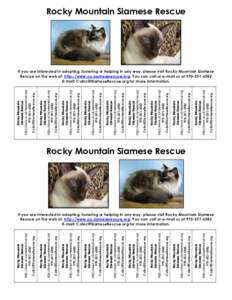 http://www.co.siameserescue.org  Rocky Mountain