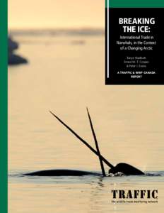 BREAKING THE ICE: International Trade in Narwhals, in the Context of a Changing Arctic Tanya Shadbolt