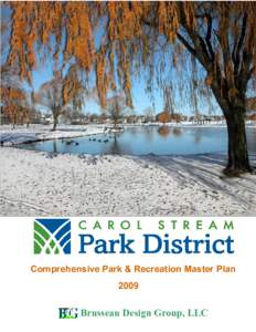 Comprehensive Park & Recreation Master Plan 2009 Brusseau Design Group, LLC  2