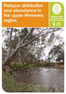 Wimmera / Monotremes / Platypus / Wimmera River / Riparian zone / Mammals of Australia / Geography of Australia / Water