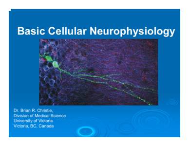 Basic Cellular Neurophysiology  Dr. Brian R. Christie, Division of Medical Science University of Victoria Victoria, BC, Canada