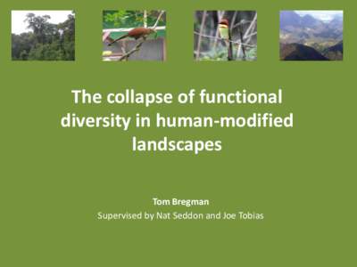 The collapse of functional diversity in human-modified landscapes Tom Bregman Supervised by Nat Seddon and Joe Tobias