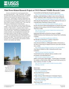 Wind Power-Related Research Projects at USGS Patuxent Wildlife Research Center Interest in electricity from wind energy has been growing internationally. Large “wind farms” have sprung up around the world, each consi