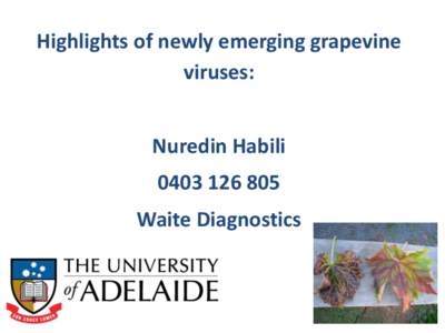 Highlights of newly emerging grapevine viruses: Nuredin Habili[removed]Waite Diagnostics