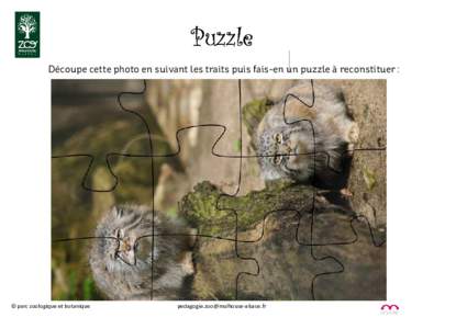 Puzzle Découpe cette photo en suivant les traits puis fais-en un puzzle à reconstituer : © parc zoologique et botanique  