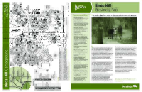 birds_hill_activities_camp
