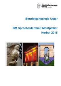 Berufsfachschule Uster BM Sprachaufenthalt Montpellier Herbst 2015 Rahmenbedingungen für den BM Sprachaufenthalt in Montpellier für Lernende im 2. Lehrjahr