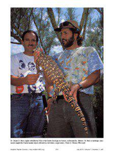 Dr. Daniel D. Beck (right) with Martin Villa at the Centro Ecologia de Sonora, in Hermosillo, Mexico. Dr. Beck is holding a nearrecord length Río Fuerte beaded lizard (Heloderma horridum exasperatum). Photo by Thomas Wiewandt.  Amphib. Reptile Conserv. | http://redlist-ARC.org