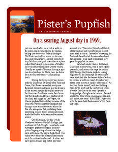 Pister’s Pupfish B Y