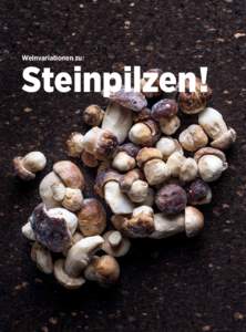 Weinvariationen zu:  Steinpilzen! Kulinarik