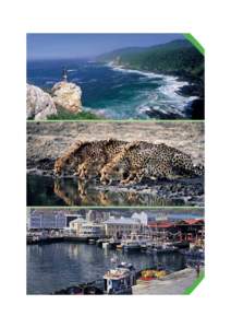 Tourism  South Africa is a tourist paradise – offering scenic beauty, diverse wildlife, a kaleidoscope of cultures and traditions, and endless opportunities to explore the outdoors through sport and adventure activiti