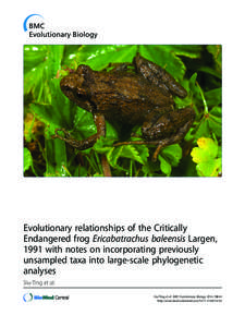 Evolutionary relationships of the Critically Endangered frog Ericabatrachus baleensis Largen, 1991 with notes on incorporating previously