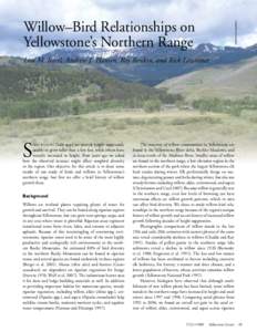 courtesy of Lisa Baril  Willow–Bird Relationships on Yellowstone’s Northern Range Lisa M. Baril, Andrew J. Hansen, Roy Renkin, and Rick Lawrence