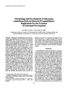 Reference: Biol. Bull. 192: [removed]April, [removed]Morphology and Development of Odostomia